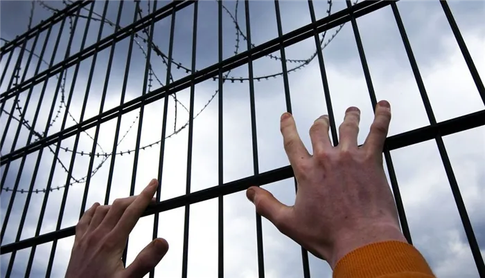 Заключенные просят президента России об амнистии в 2022 году