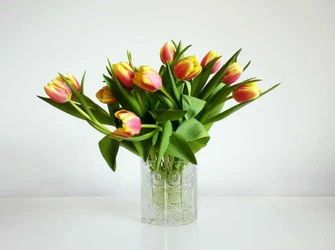 Фотография тюльпанов в вазе.