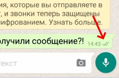 Две синие галочки в WhatsApp