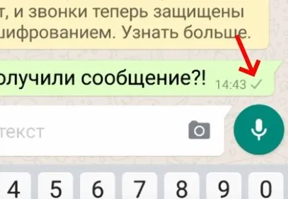 Две серые галочки Whatsapp