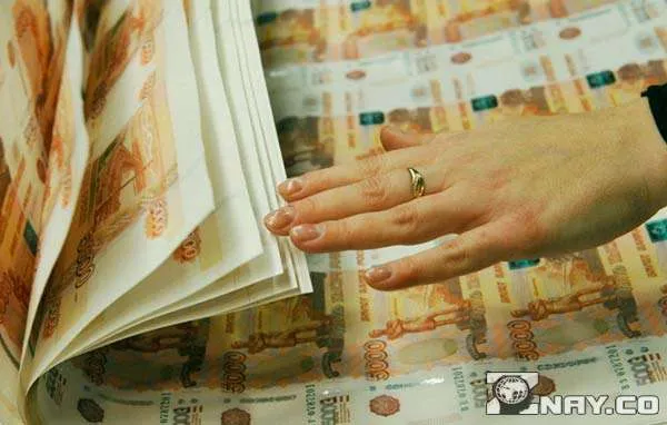 Листья бумажных денег