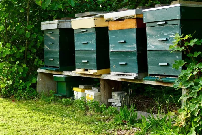 Ульи для пчеловодов