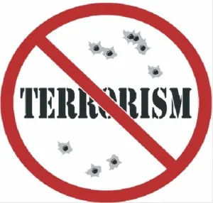 Чем терроризм отличается от экстремизма?