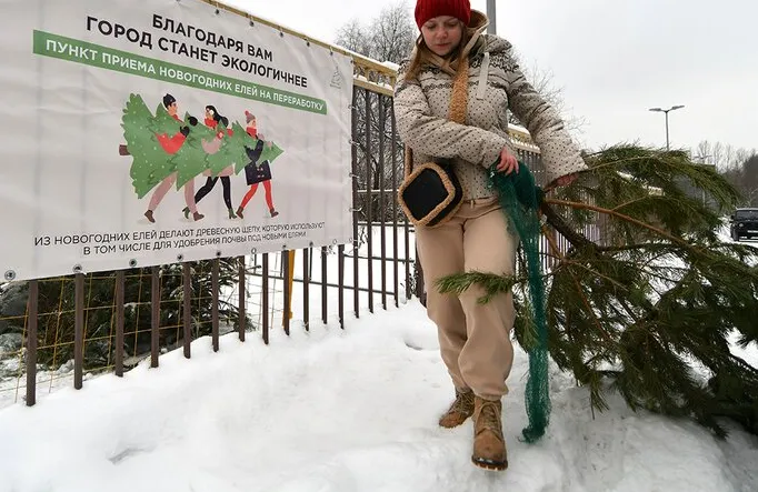 Куда выбрасывать елки после праздников в Москве и Подмосковье: пункт приема елок на 2022 год