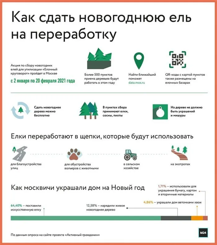 Куда выбрасывать елки после праздников в Москве и Подмосковье: пункт приема елок на 2022 год