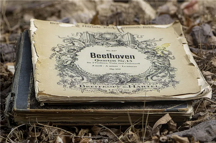 Людвиг Ван Бетховен написал свое второе соглашение.