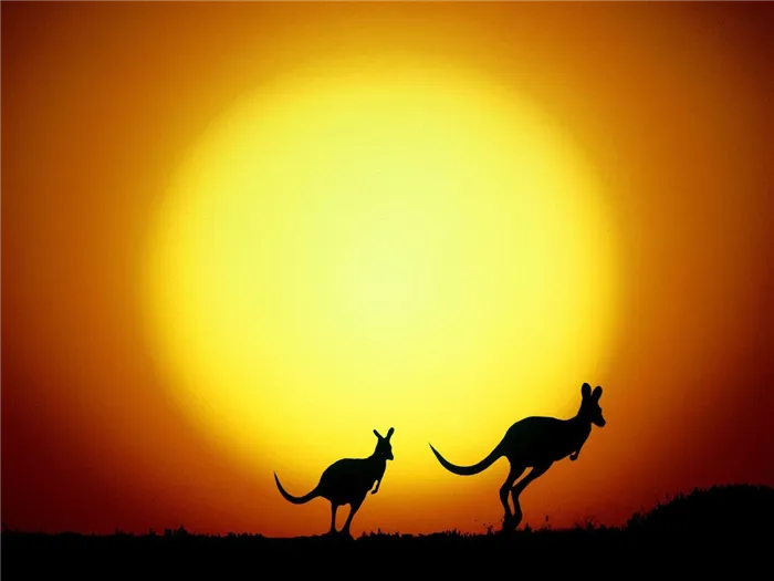 7 основных причин не посещать Австралию
