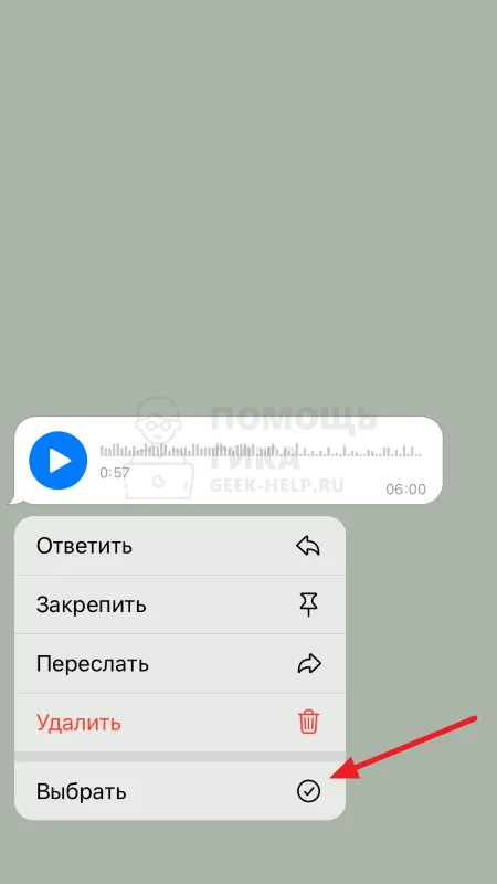 Как загрузить голосовые сообщения из Telegram на iPhone - шаг 2