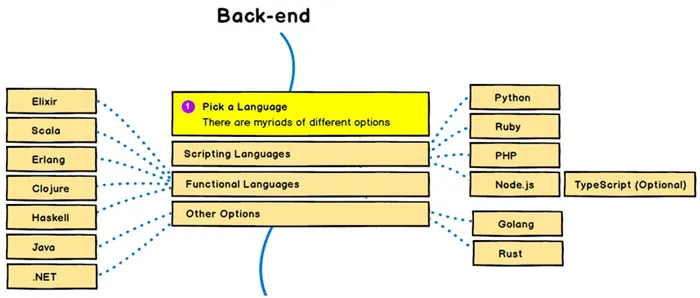 Выбор правильного языка программирования для разработки back-end
