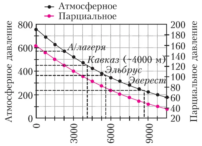 Рисунок 1.Зависимость атмосферного давления и парциального давления кислорода от высоты (