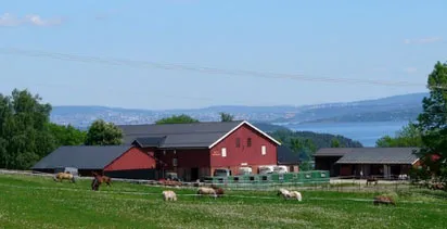 Фермы в Норвегии