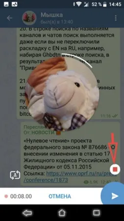 Подписка и отправка видеосообщений в Telegram