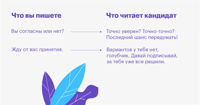 huntflow, huntflow, предложения, Дарья Супрунова