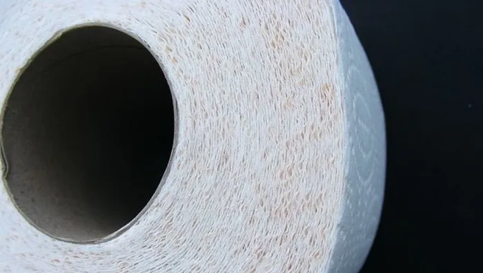в какой стране изобрели туалетную бумагу