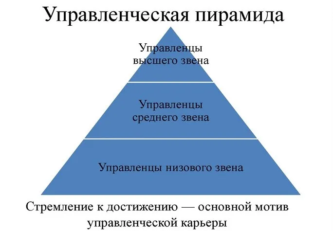 Управленческая пирамида