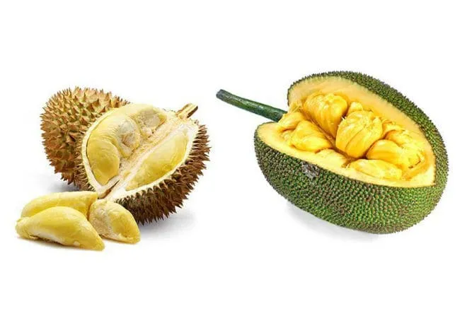 Чем отличается джекфрут от дуриана?