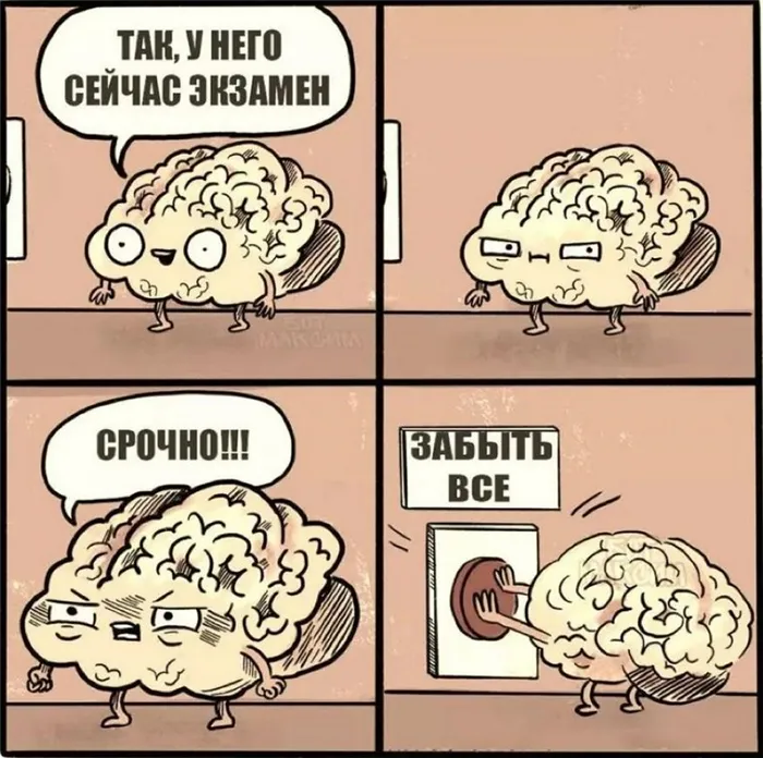 Комикс про мозг и экзамен