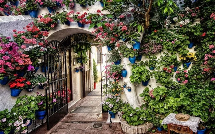 Цветы в Испании