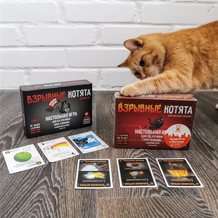 Игра «Взрывные котята»: пушистые бомбы, отрицающие лоси и полное котобезумие