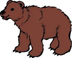 bear/медведь