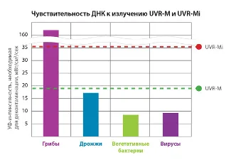 График чувствительности ДНК к излучению UVR-M и UVR-Mi