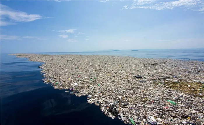 Загрязнение мирового океана и сокращение биоразнообразия