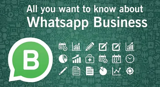 В чем разница между простым WhatsApp и WhatsApp Business