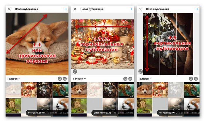 Пример различных шаблонов публикаций в мобильном приложении Instagram
