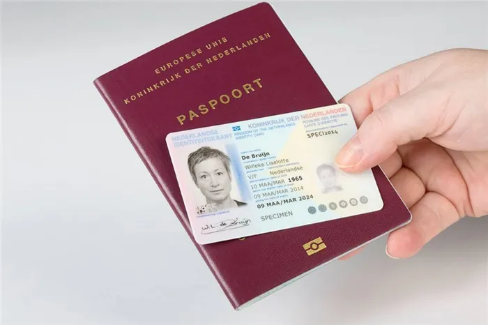 Получение паспорта Нидерландов