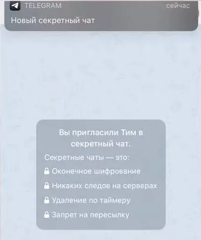 Пример секретного чата Телеграм