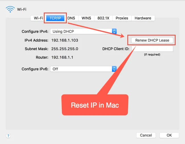Сбросить IP в Mac
