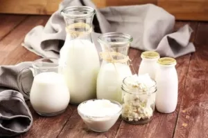 Что относится к молочным продуктам